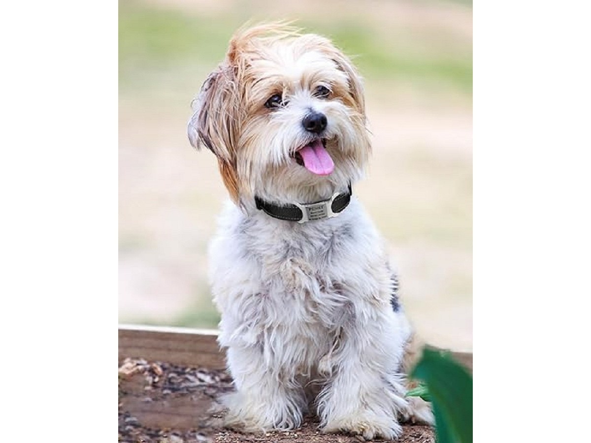 product-1200-900 product-1200-900